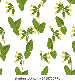 Seamless vector spring illustration with cowslips on a white background. For decorating textiles, packaging, web design.