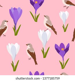 Seamless vector spring illustration with crocuses and birds on a pink background. For decorating textiles, packaging, web design.