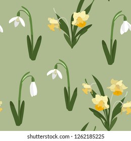 Seamless vector spring illustration with snowdrops and daffodils on green background. For decorating textiles, packaging, web design.
