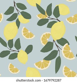 Seamless vector summer lemon pattern. Slice citrus with leaf on isolated background. Lime branches botanical collection. Exotic Gardening fruit