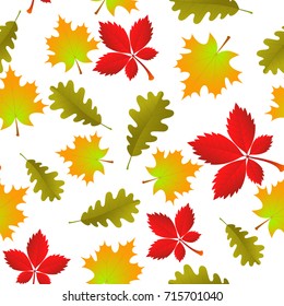 Seamless vector texture of bright autumn leaves. Maple and oak orange leaves