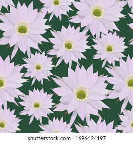 Textura vectorial perfecta para las impresiones de moda. Patrón floral en motivos botánicos esparcidos al azar. Ilustraciones de cactus floridos en blanco con tonos rosa claro sobre un fondo verde saturado.
