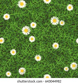 Seamless vector texture of green meadow grass with blooming wild daisies