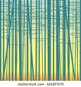 Seamless vector texture with a picture of the forest of trees against the sky. Birch forest vector background. Birch grove pattern. Background of trees