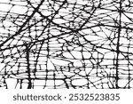 Seamless vector thorn abstract pattern. Black and white background. Black ink lines. Grunge pattern with crack effect. For fabric, textile, design, cover. 