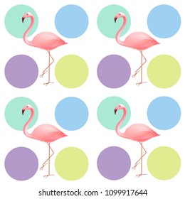 Seamless vector tropical flamingo summer pattern with colored dots. Polkadot exotic pattern for backgrounds, textures and wallpapers