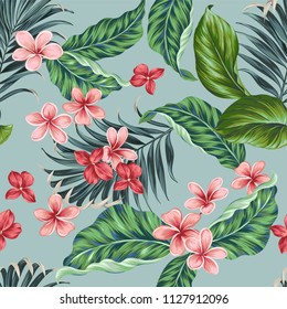 Seamless vector tropical pattern. beautiful palm leaves, ficus, plumeria, frangipani. Aloha style repeating design. 