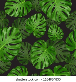 Seamless vector tropical pattern with green monstera palm leaves on dark background. Exotic hawaiian fabric design.