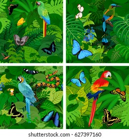 Seamless vector tropical rainforest Jungle background with parrots, butterflies, snake, frog and motmot