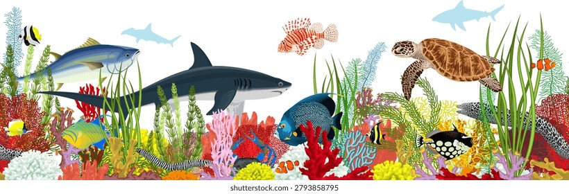 seamless Vector underwater coral reef illustration with fishes and shark. Undersea with colorful tropical fishes, sharks and green sea turtle