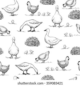 Seamless vector vintage pattern with goose, duck and chicken. Retro hand drawn  illustration. Farm animals. Logotype.