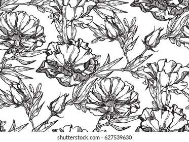 Seamless vector vintage pattern with Victorian bouquet of black flowers on a white background. Garden roses. Monochrome.