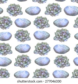 Seamless vector watercolor pattern with succulent and stones