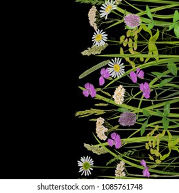 Seamless vertical border with herb and field flowers in watercolor style on black. Greenery botanical repeat wallpaper for textile prints, country backgrounds, alpine banner with text place, wrapping.