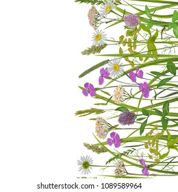 Seamless vertical border with herb and field flowers in watercolor style. Greenery botanical repeat wallpaper for textile prints, country backgrounds, alpine banner with text place and wrapping.