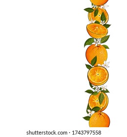 Seamless vertical border with orange citrus fruits, green leaves, flowers on white background. Copy space. Hand drawn. Vector stock illustration.