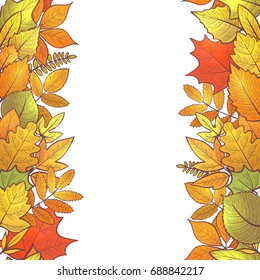 Seamless vertical borders with colorful skeleton autumn leaves, hello autumn. Vector