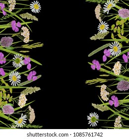 Seamless vertical double border with herb and field flowers in watercolor style on black. Greenery natural repeat wallpaper for textile prints, country backgrounds, alpine banner with text place.