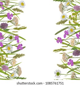 Seamless vertical double border with herb and field flowers in watercolor style on white. Greenery natural repeat wallpaper for textile prints, country backgrounds, alpine banner with text place.