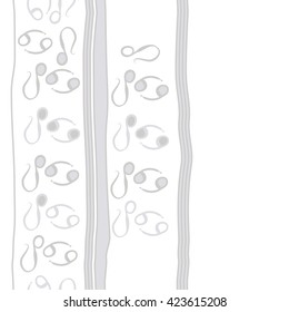 Seamless vertical pattern  of zodiac signs, doodles, object,cancer, lions,stripes,spots, ellipses, copy space. Hand drawn.