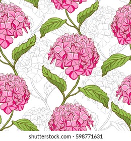Seamless vintage floral pattern with beautiful hydrangea flowers