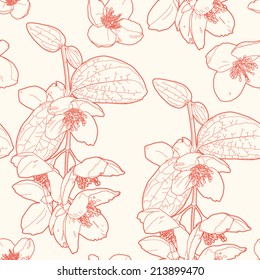 Seamless vintage  floral pattern with mock orange