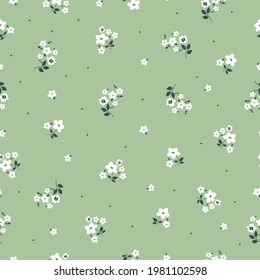seamless vintage pattern abstract. pale green background. small white flowers. vector texture . fashionable print for textiles and wallpaper.