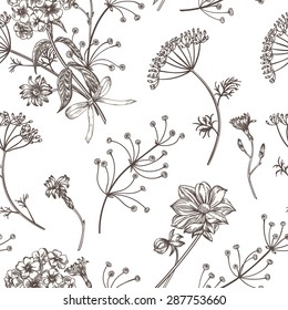 Seamless vintage pattern with herbs, flowers and plants. Herbal background.