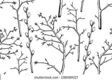 Seamless vintage pattern with ink hand drawn willow tree twigs. Vector natural background. Easter illustration