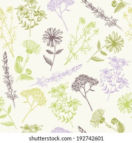 Seamless vintage  pattern with ink hand drawn medicinal herbs and plants.