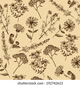 Seamless vintage  pattern with ink hand drawn medicinal herbs and plants.