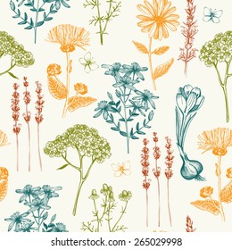 Patrón vintage impecable con broquetes de plantas y hierbas medicinales dibujadas a mano. Fondo herbal.