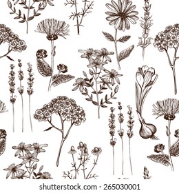Seamless vintage pattern with ink hand drawn medicinal herbs and plants sketch. Herbal background.