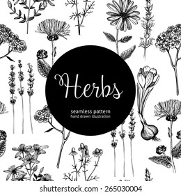 Seamless vintage pattern with ink hand drawn medicinal herbs and plants sketch. Herbal background.