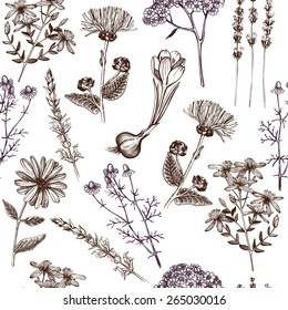 Seamless vintage pattern with ink hand drawn medicinal herbs and plants sketch. Herbal background.