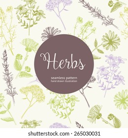 Seamless Vintage Pattern With Ink Hand Drawn Medicinal Herbs And Plants Sketch. Herbal Background.