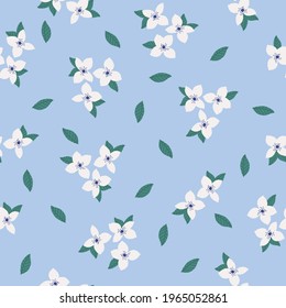 Seamless vintage pattern . light blue background. white flowers. green leaves .vector texture. fashionable print for textiles and wallpaper.