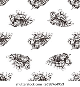 Seamless vintage pattern of spiny seashell in brown ink engraving style. Nautical illustration perfect for beach packaging, textiles and decorative designs.