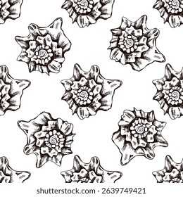 Seamless vintage pattern of spiral top seashell in brown ink engraving style. Coastal marine illustration for beach packaging, textile and decorative surface design.