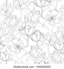 Seamless vintage pattern with  tulips line silhouette on white background.