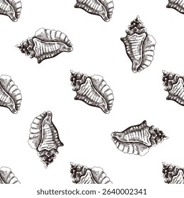 Seamless vintage pattern of wavy conch seashell in brown ink engraving style. Great for nautical packaging, beach textiles and decorative coastal surface design.