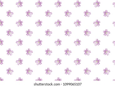 Seamless wallpaper illustration of a beautifully blooming purple flower on a white background