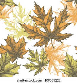 Seamless wallpaper with a maple leaf, hand-drawing. Vector illustration.