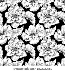 Patrón de papel pintado sin inconvenientes. Flores y hojas de Begonia. Composición textil, impresión a mano. Ilustración vectorial en blanco y negro.