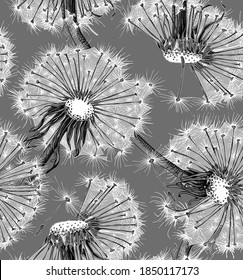 Seamless wallpaper pattern. Dandelion flowers. Textile composition, hand drawn style print. Vector monochrome illustration. 