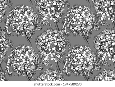 Patrón de papel pintado sin inconvenientes. Flores de Darmera (Butomus Umbellatus). Composición textil, impresión a mano. Ilustración monocroma vectorial.