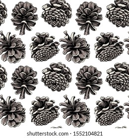 Seamless wallpaper pattern. Different brown woody Conifer cones with seeds on a white background. Textile composition, hand drawn style print. Vector illustration.