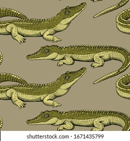 Seamless wallpaper pattern. Different green crocodiles. Textile composition, hand drawn style print. Vector illustration.