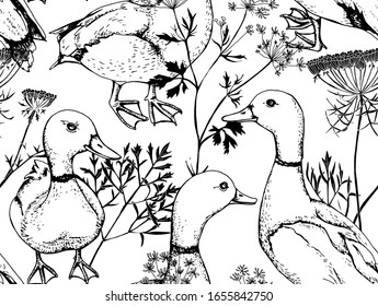 Seamless wallpaper pattern. Ducks and herbs. Textile composition, hand drawn style print. Vector black and white illustration.