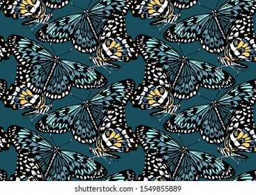Seamless wallpaper pattern. Exotic Butterflies. Textile composition, hand drawn style print. Vector illustration.